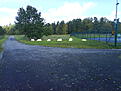 Klicka på bilden för större storlek

Namn:	        Foto 4.JPG
Visningar:	608
Storlek:	271,9 kB
ID:     	22954
