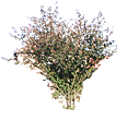 Klicka på bilden för större storlek

Namn:	        framk1_traed.png
Visningar:	236
Storlek:	555,8 kB
ID:     	40142